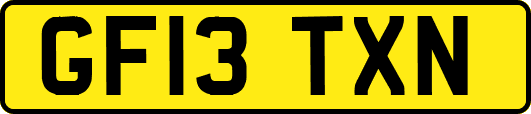 GF13TXN