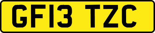 GF13TZC