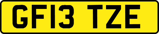 GF13TZE