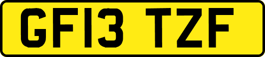 GF13TZF