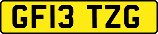 GF13TZG