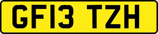GF13TZH