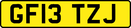 GF13TZJ