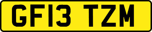 GF13TZM