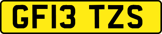 GF13TZS