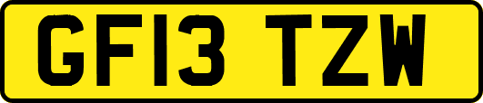 GF13TZW