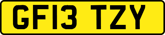 GF13TZY
