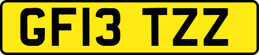 GF13TZZ