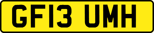 GF13UMH