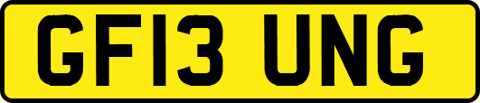 GF13UNG