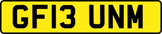 GF13UNM