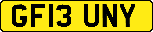 GF13UNY