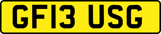 GF13USG