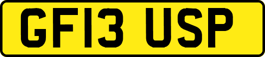 GF13USP