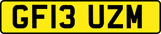 GF13UZM