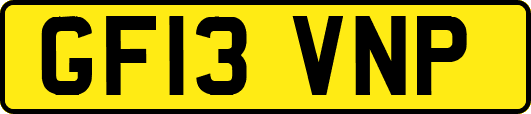 GF13VNP