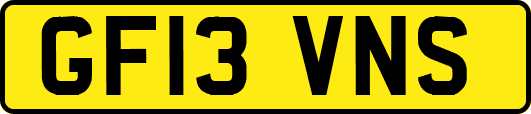GF13VNS