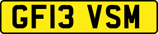 GF13VSM