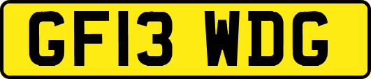 GF13WDG