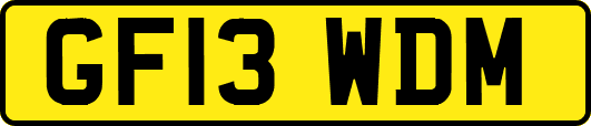 GF13WDM