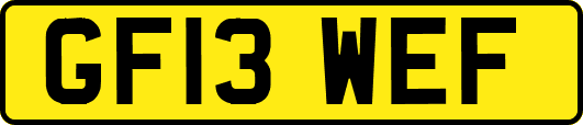 GF13WEF