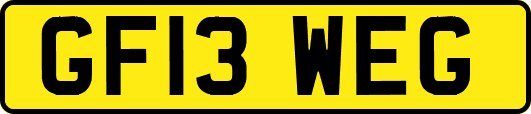 GF13WEG