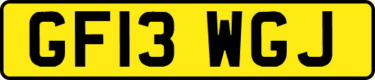 GF13WGJ