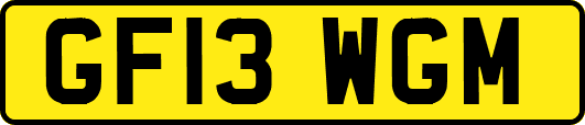 GF13WGM
