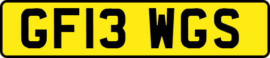 GF13WGS
