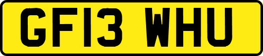 GF13WHU