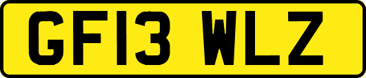 GF13WLZ