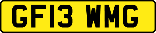 GF13WMG