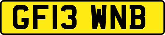 GF13WNB