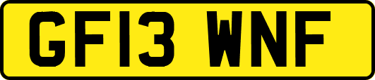 GF13WNF