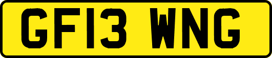 GF13WNG