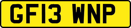 GF13WNP