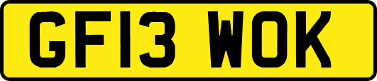 GF13WOK