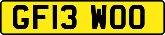 GF13WOO
