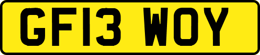 GF13WOY