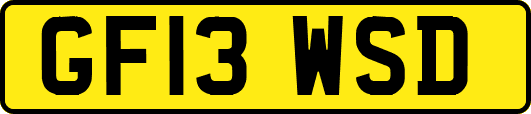 GF13WSD