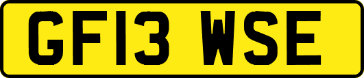 GF13WSE