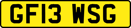 GF13WSG