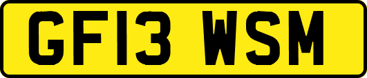 GF13WSM
