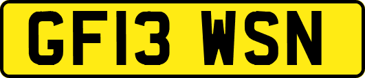 GF13WSN