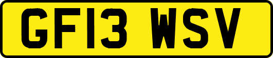 GF13WSV