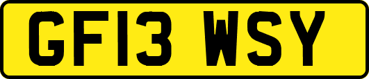 GF13WSY