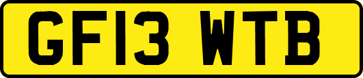 GF13WTB
