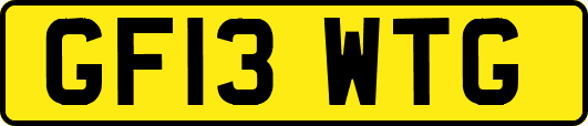 GF13WTG