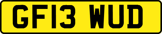 GF13WUD