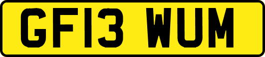 GF13WUM